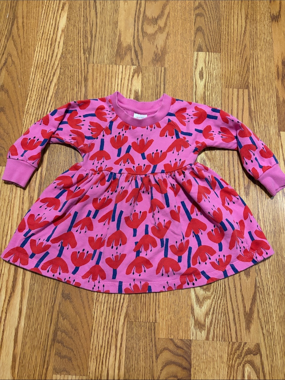 Hanna Andersson Pink Dress with Red Flowers